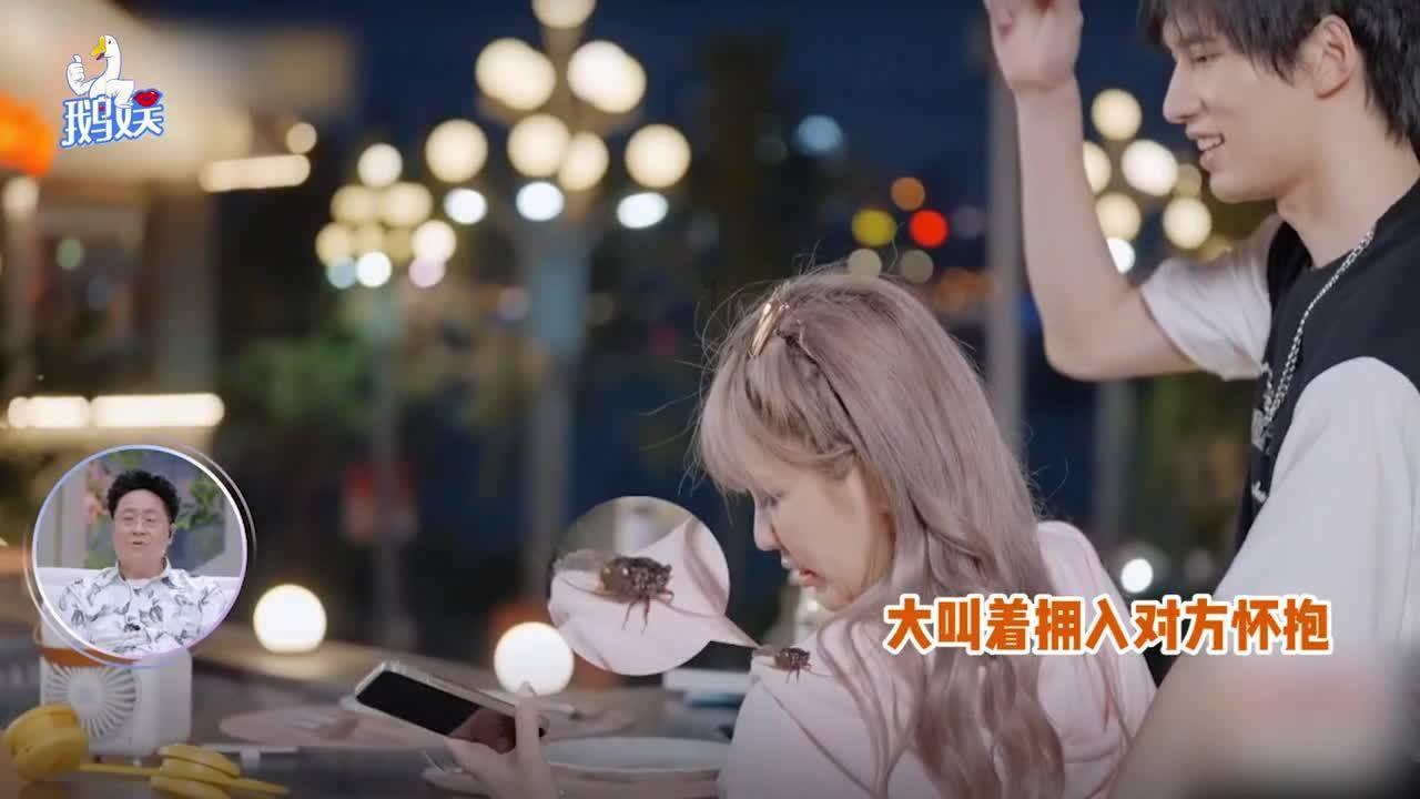 创作猫